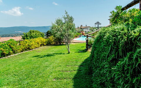 Appartamento Ginepro - Borgo in Chianni: Verde, Vegetazione, Erba, Albero, Arbusto, Paesaggio Naturale, Prato, Cielo, Giardino, Pianta