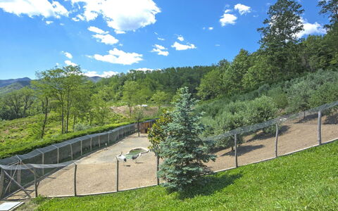 Agr. Castello della Mugazzena: Nube, Cielo, Pianta, Albero, Paesaggio Naturale, Shade, Highland, Lotto, Pascolo, Cumulo