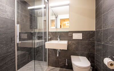 Swisspeak Resorts Meiringen 9000.80: Pavimentazione, Pavimento, Interior Design, Bagno, Idraulico Fixture, Soffitto, Idraulico, Lavello, Rubinetto, Doccia