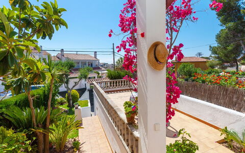 Remedios: Proprietà, Immobiliare, Botanica, Casa, Costruzione, Casa, Vacanza, Pianta, Architettura, Fiore