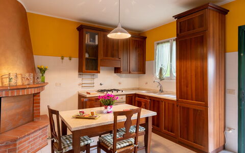 Ludovica: Controsoffitto, Mobilia, Cabinetry, Proprietà, Tavolo, Finestra, Legna, Cucina, Sedia, Interior Design