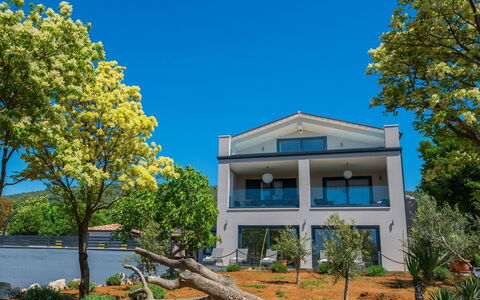 A.r.t.: Proprietà, Albero, Casa, Immobiliare, Casa, Cielo, Architettura, Costruzione, Giallo, Zona Residenziale