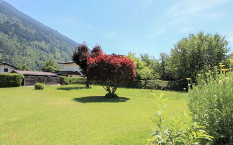 Sonnblick: Paesaggio Naturale, Natura, Vegetazione, Albero, Giardino, Erba, Cielo, Giardino Botanico, Natura Selvaggia, Pascolo