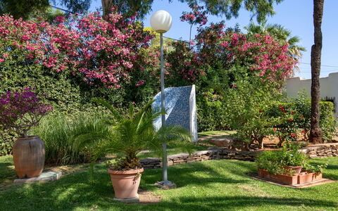 Albaranas: Fiore, Pianta, Cielo, Proprietà, Vaso Di Fiori, Botanica, Natura, Albero, Street Luce, Erba