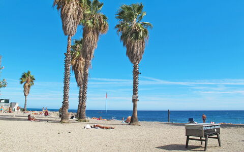 Villetta Laura: Cielo, Acqua, Natura, Azzurro, Ambiente Naturale, Blu, Spiaggia, Albero, Pianta, Arecales