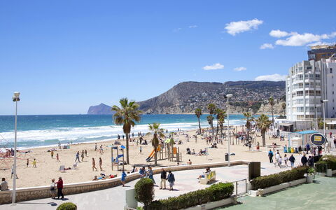 Calpe Calp 262: Acqua, Pianta, Azzurro, Albero, Cielo, Piscina, Arecales, Shade, Tempo Libero, Immobiliare