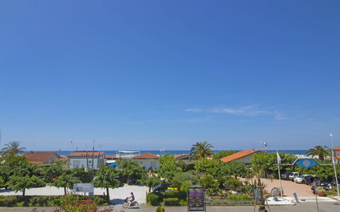 Sandra: Cielo, Pianta, Albero, Urban Design, Arecales, Asfalto, Nube, Manto Stradale, Zona Residenziale, Tempo Libero