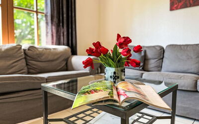 Brüderchen 200.36: Mobilia, Divano, Interior Design, Pavimentazione, Tavolo, Pavimento, Soggiorno, Camera, Tavolino Da Caffè, Casa