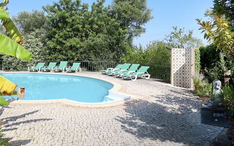 Monte Meco: Pianta, Cielo, Acqua, Piscina, Azzurro, Albero, Vaso Di Fiori, Shade, Mobili Da Esterno, Tempo Libero
