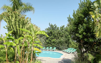 Monte Meco: Cielo, Pianta, Acqua, Comunita 'Impianto, Paesaggio Naturale, Arecales, Piscina, Impianto Terrestre, Albero, Paesaggio