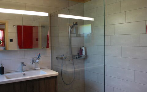 Alphaus Hasler: Specchio, Lavello, Idraulico Fixture, Proprietà, Rubinetto, Costruzione, Bagno, Lavandino Del Bagno, Parete