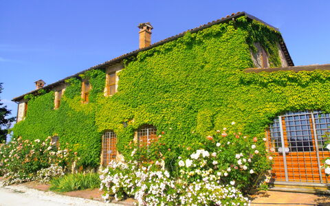 Villa Venanzo: Proprietà, Casa, Verde, Vegetazione, Parete, Costruzione, Villetta, Arbusto, Pianta, Area Rurale