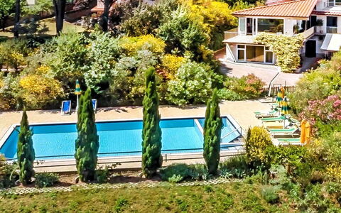 La Rosa: Pianta, Costruzione, Finestra, Natura, Botanica, Albero, Architettura, Casa, Vegetazione, Erba