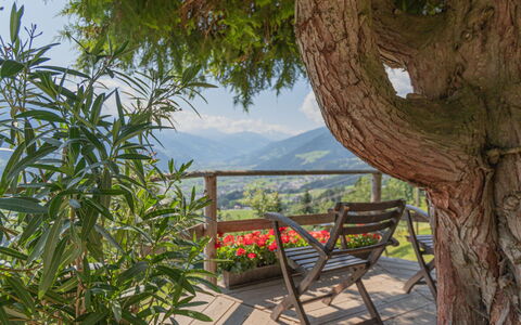Fügen 450: Albero, Proprietà, Botanica, Immobiliare, Casa, Pianta, Camera, Mobilia, Paesaggio, Vacanza