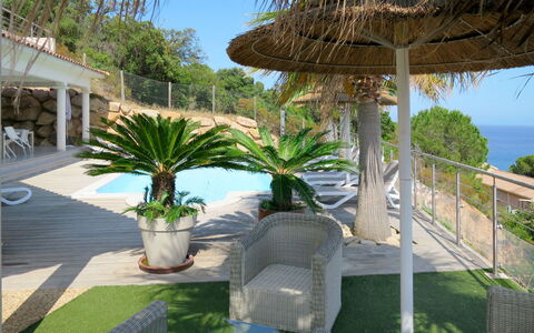 Villa Ottavi: Proprietà, Ricorrere, Immobiliare, Vacanza, Palma, Casa, Botanica, Albero, Arecales, Villa