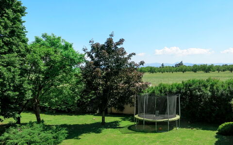 Marina: Albero, Verde, Paesaggio Naturale, Woody Impianto, Lotto, Pianta, Erba, Arbusto, Giardino, Parco
