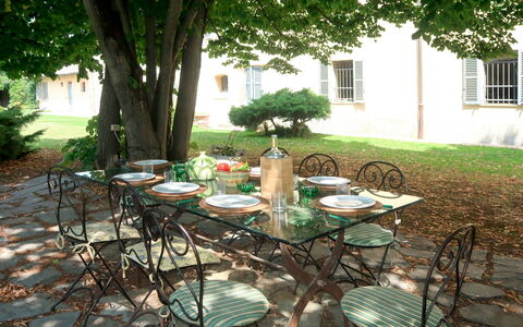 Marina: Tavolo, Tavolo Esterno, Mobilia, Botanica, Albero, Backyard, Sedia, Cortile, Terrazza, Tovaglia