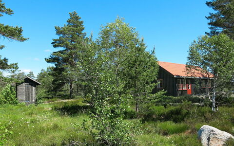 Førevanns Hytta: Cielo, Pianta, Proprietà, Foglia, Albero, Paesaggio Naturale, Larice, Lotto, Vegetazione, Casa