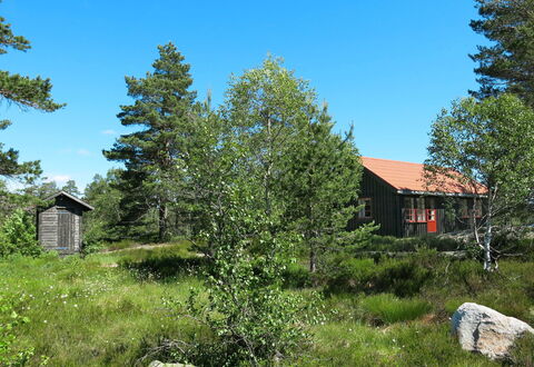 Førevanns Hytta: Cielo, Pianta, Proprietà, Foglia, Albero, Paesaggio Naturale, Larice, Lotto, Vegetazione, Casa