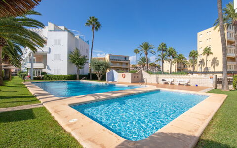 La Senia: Costruzione, Pianta, Acqua, Cielo, Proprietà, Giorno, Azzurro, Albero, Piscina, Architettura