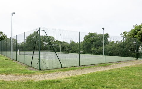 Talmont Saint Hilaire 651: Stabilimento Sportivo, Netto, Campo Da Tennis, Erba, Recinzione, Chain-Link Scherma, Lotto, Recinzione, Albero, Maglia