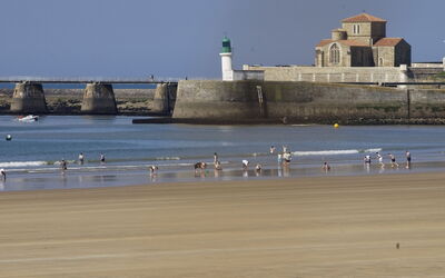 Chateau D'Olonne 649
