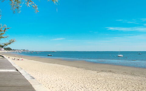 Les Hirondelles: Acqua, Cielo, Giorno, Nube, Azzurro, Spiaggia, Costiera E Morfologie Oceanic, Pianta, Albero, Legna