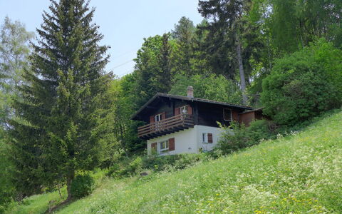 Chalet Ninette: Pianta, Comunita 'Impianto, Cielo, Costruzione, Paesaggio Naturale, Casa, Albero, Larice, Lotto, Finestra