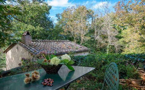 Casa Di Lilli: Foglia, Natura, Vegetazione, Ramo, Arbusto, Comunita 'Impianto, Primavera, Giardino, Groundcover, Ramoscello