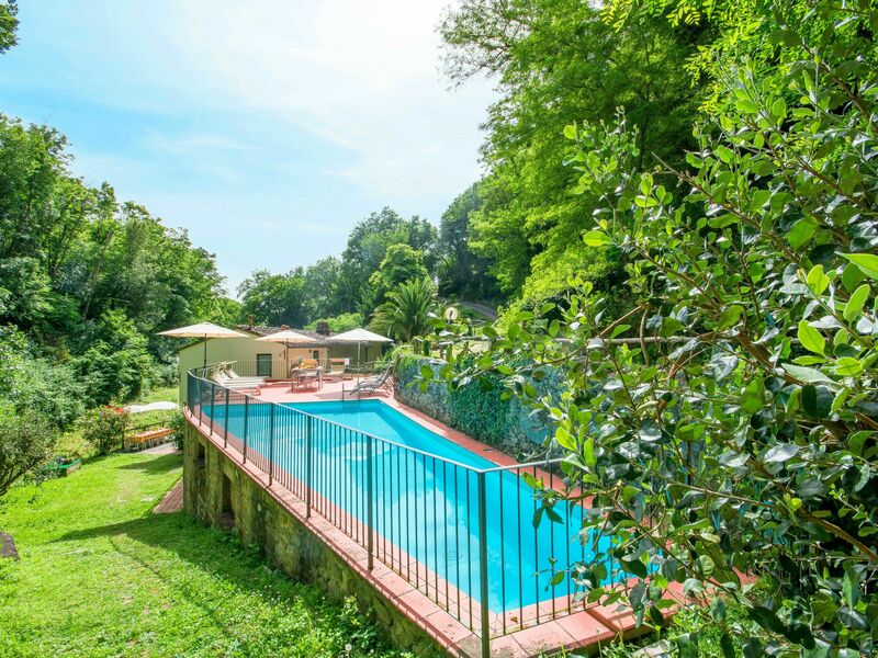 Vecchio Mulino Di Vinci (Vin180)