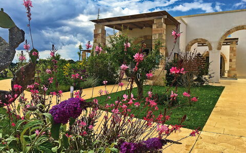 Tenuta Vigna Corallo: Fiore, Giardino, Pianta, Proprietà, Cortile, Casa, Cielo, Casa, Zona Residenziale, Botanica