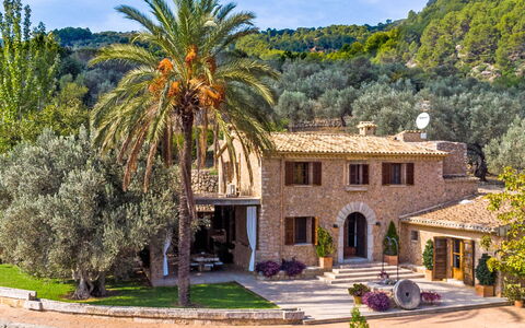 Santa Llucia: Pianta, Cielo, Botanica, Costruzione, Nube, Albero, Architettura, Finestra, Arecales, Zona Residenziale