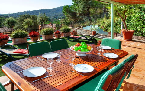 Gloria: Tavolo, Pianta, Mobilia, Tavola, Proprietà, Sedia, Tavolo Esterno, Verde, Pianta Della Casa, Vaso Di Fiori