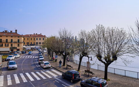 Charlie: Auto, Cielo, Ruota, Veicolo, Veicolo A Motore, Finestra, Albero
