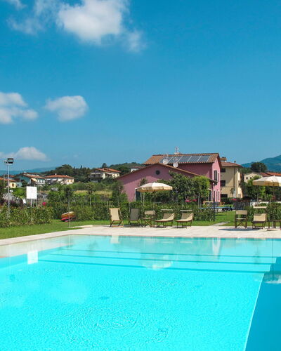 Lucca 695