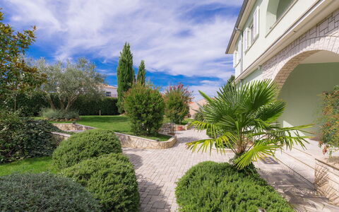 Salamander: Proprietà, Vegetazione, Immobiliare, Albero, Erba, Giorno, Paesaggio Naturale, Giardino, Casa, Zona Residenziale