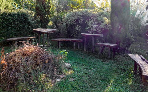 Vendone 608: Pianta, Tavolo, Mobilia, Comunita 'Impianto, Natura, Paesaggio Naturale, Botanica, Ramo, Albero, Tavolo Esterno