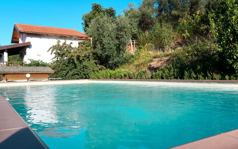 Vendone 608: Acqua, Cielo, Proprietà, Costruzione, Pianta, Piscina, Azzurro, Albero, Shade, Rettangolo