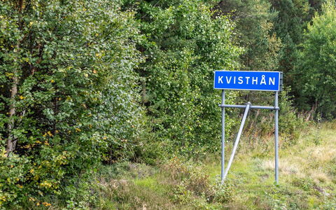 Kvisthån Tallen: Pianta, Comunita 'Impianto, Paesaggio Naturale, Lotto, Erba, Groundcover, Arbusto, Albero, Graminacee, Prato