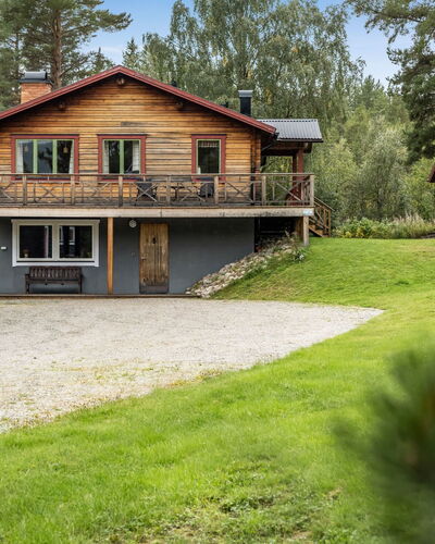 Kvisthån Tallen