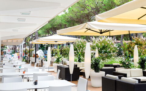 Cavallino 663: Pianta, Mobilia, Shade, Interior Design, Sedia, Mobili Da Esterno, Tempo Libero, Albero, Città, Tavolino Da Caffè