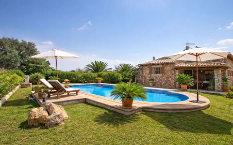 Mavi: Piscina, Ricorrere, Estate, Eco Hotel, Landscaping, Giardino, Villa, Hacienda, Giochi D'Acqua, Mobili Da Esterno