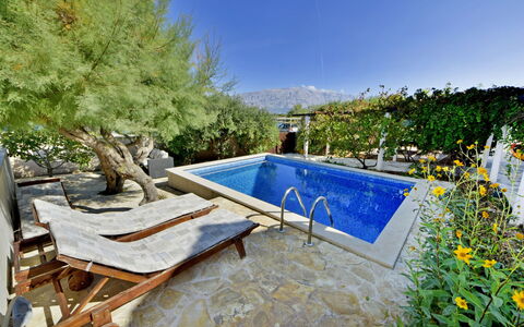 Sofija: Proprietà, Piscina, Immobiliare, Backyard, Casa, Erba, Albero, Costruzione, Paesaggio, Cortile