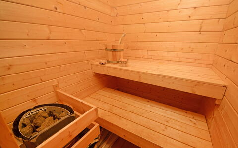 Sofija: Legna, Sauna, Camera, Latifoglie, Color Legno, Compensato, Legname, Mobilia, Interior Design, Pavimento