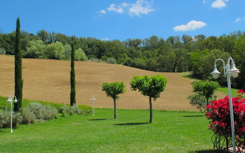 Podere: Proprietà, Erba, Lotto, Giardino, Albero, Prato, Immobiliare, Graminacee, Cortile, Pianta