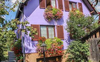 Marckolsheim 100: Fiore, Pianta, Costruzione, Giorno, Proprietà, Finestra, Foglia, Viola, Casa