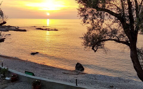 Solenzara 650: Cielo, Tramonto, Acqua, Orizzonte, Albero, Mattina, Mare, Oceano, Nube, Sera