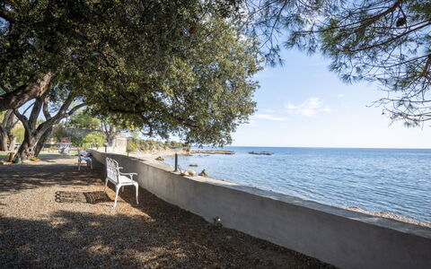 Alloggio:&nbsp;Cappone 650.5