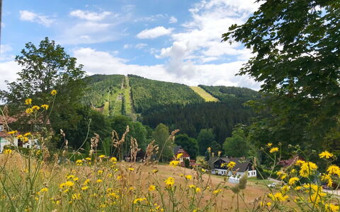 Resident Harrachov B: Albero, Paesaggio, Collina, Highland, Foresta, Hill Station, Prato, Pascolo, Larice