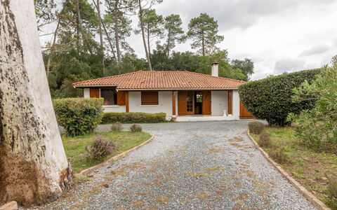 Marguerite: Pianta, Cielo, Costruzione, Proprietà, Nube, Finestra, Albero, Casa, Lotto, Villetta